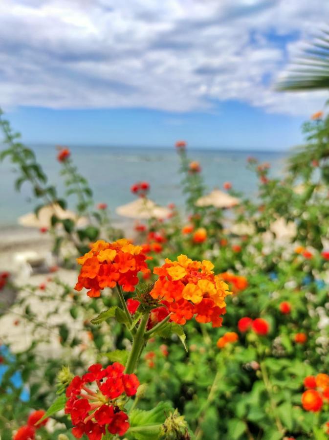 Kallmi View Eco Rooms Durres Exterior photo